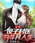 乡村傻子神医小说