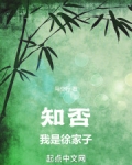 知否:我是徐家子免费阅读