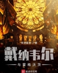 戴纳韦尔与霍格沃茨的区别