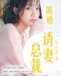暖婚:诱妻总裁