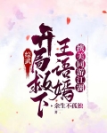 救王语嫣的小说