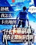 什么卡崩副本?我在正常玩游戏啊无弹窗
