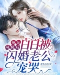 领证同居后,日日被闪婚老公宠哭免费阅读