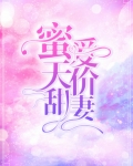 蜜爱天价甜妻