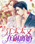 顾太太每天都在闹离婚