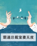 霸道总裁宠妻无度小说