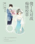 傻丫头和校草恋爱