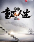 我的重返人生txt精校版