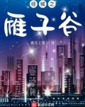 经城之雁子谷读书笔记