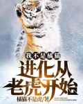 我不是橘猫!进化从老虎开始