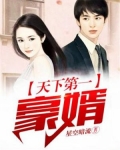 天下第一豪婿 TXT