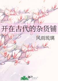 开在古代的杂货铺小说