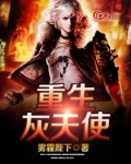 灰天使多少钱
