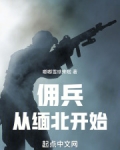 我在缅北当佣兵免费