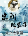宋朝败家子主角娶了几个老婆