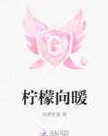 柠檬rv