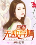 都市无敌弃婿韩小龙