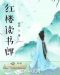 红楼读书郎零点看书