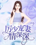 厉少的情深似海小说