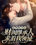 宠婚36计,霍少爱妻如命 小说