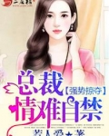 强势掠夺:总裁,情难自禁慕凌天