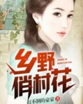乡野的花