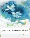 王爷妃子小说