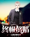 终极赘婿小说