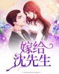 嫁给沈先生晋江