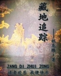 藏地追踪怎么不写了