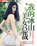 我的冰山美女总裁沈浪