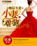 婚后斗爱之小妻难驯