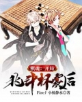棋魂:开局北斗杯赛后txt