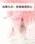凤舞九天的小说作品