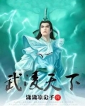武凌天下