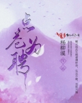 点苍鹤是谁
