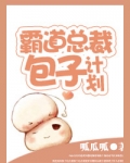 霸道总裁包子计划作者有话说