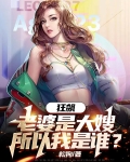 狂飙老婆是大嫂所以我是谁作者松狗