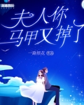 夫人你马甲又掉了小说免费阅读