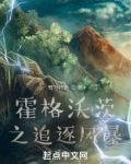 霍格沃茨之追逐风暴免费阅读