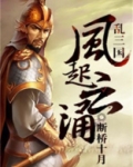 三国之风云乱舞