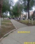 爱跳舞的人心态的句子