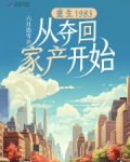 重生从1983开始 小说