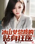 冰山总裁的贴身狂医林一凡正版