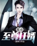 都市至尊狂婿小说