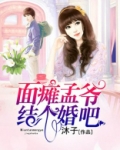 面瘫孟总结个婚呗免费阅读