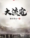 大流寇百度百科