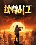 独尊战王沈炼