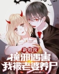 新婚之夜被新娘杀死的重生玄幻小说