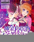 完美校草的初恋免费